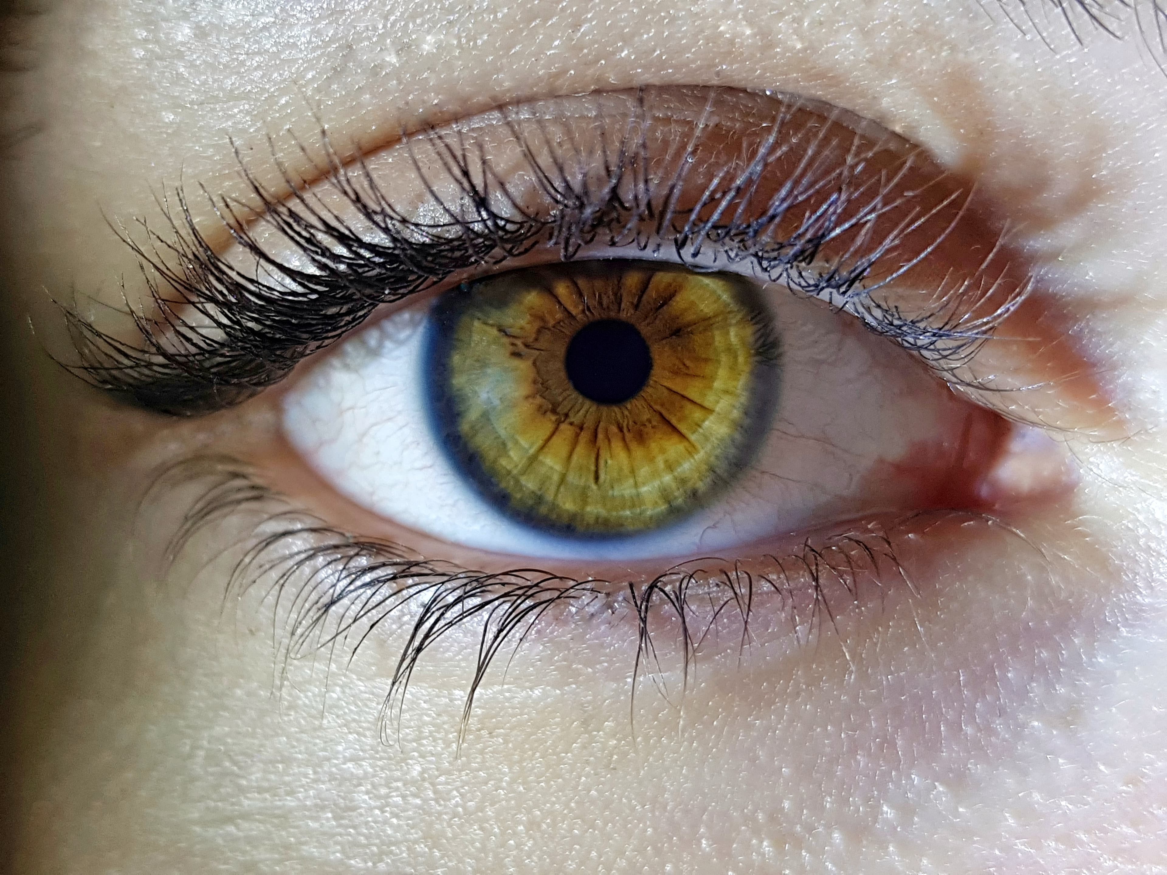 Ambar eye color