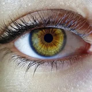 Amber eye color - amber iris calculator result example