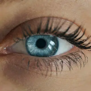 Blue eye color - blue iris calculator result example
