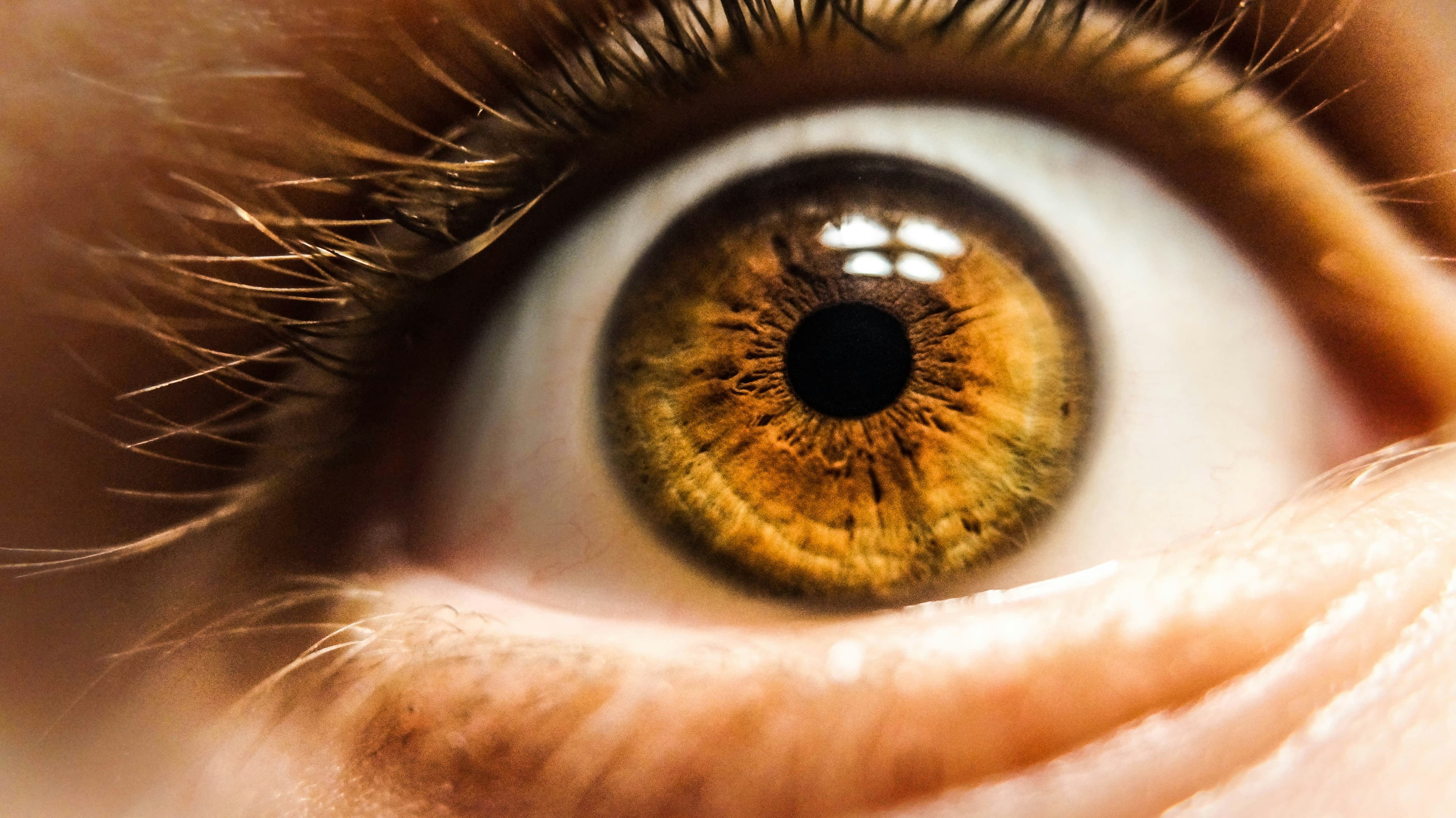 Brown eye color